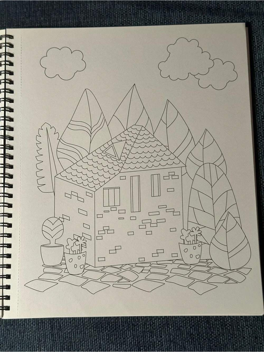 Country Gardens & Garden set of 2 Spiral Bound Adult Coloring